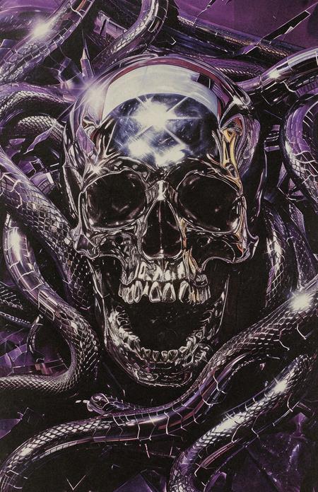 Chamberlains #2 Cover D Todd Skull Metal Cover Variant (MR)