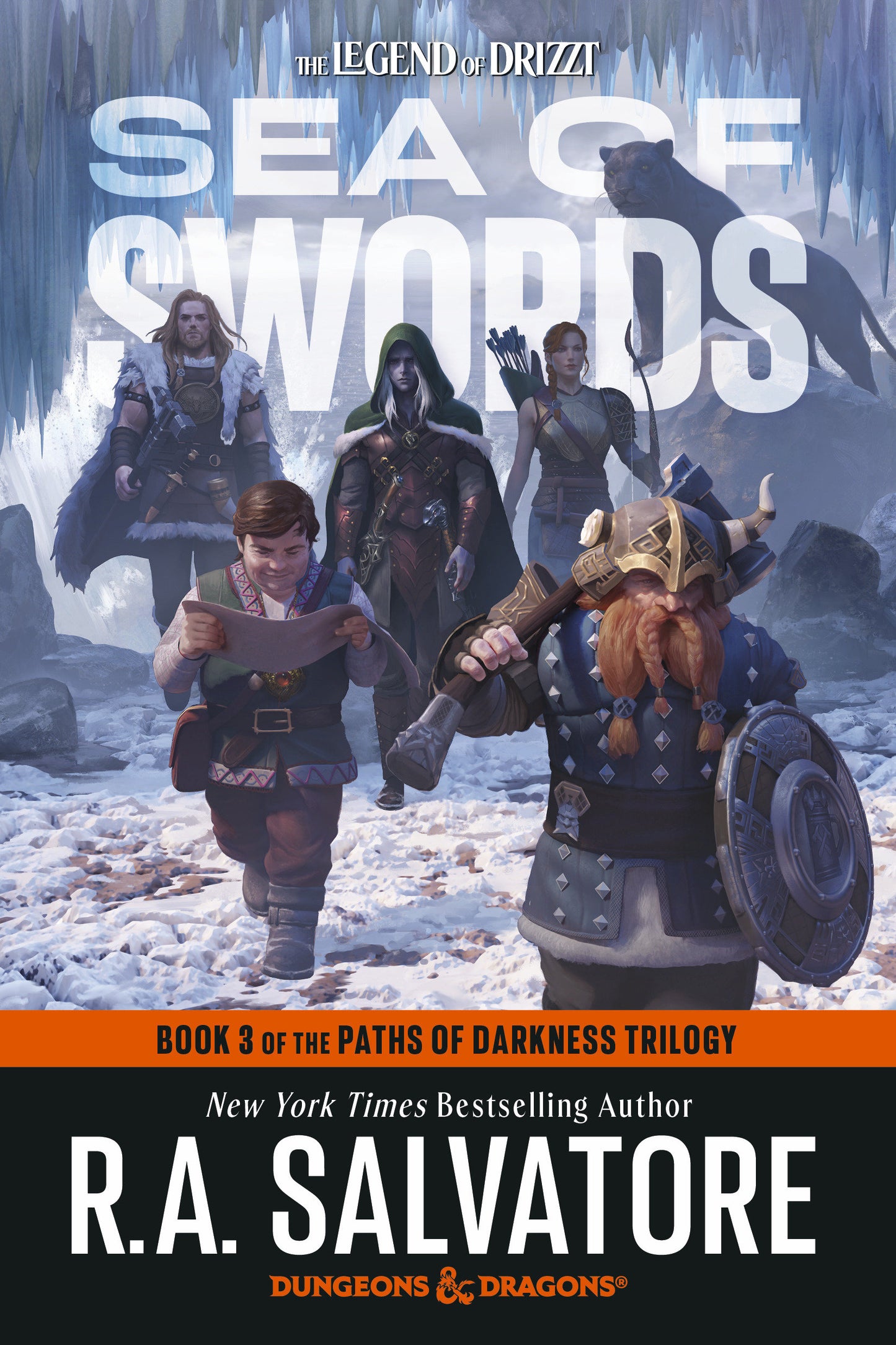 SEA OF SWORDS: DUNGEONS & DRAGONS