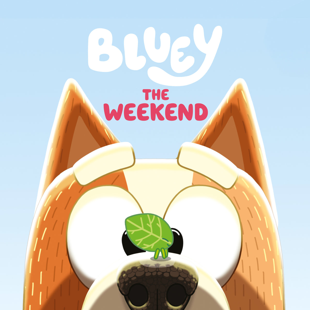 BLUEY: THE WEEKEND