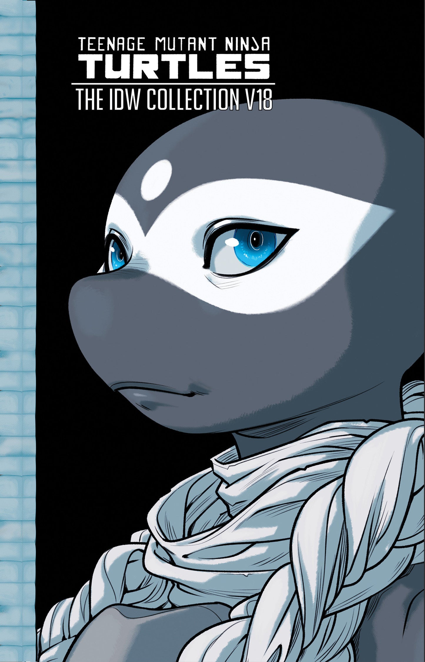 TEENAGE MUTANT NINJA TURTLES: THE IDW COLLECTION HC, VOLUME 18