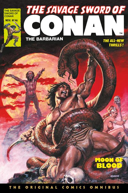 Savage Sword of Conan: The Original Comics Omnibus HC, Vol 4: Earl Norem Regular Edition Cover (MR)