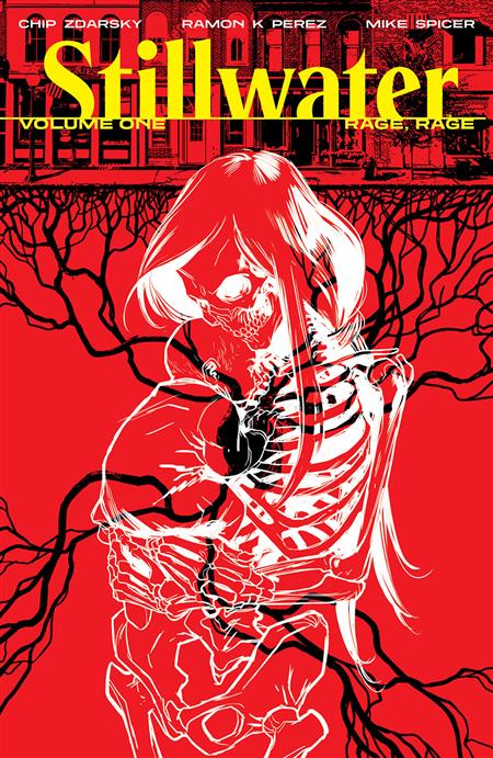 STILLWATER BY ZDARSKY & PEREZ TP VOL 01 (MR)