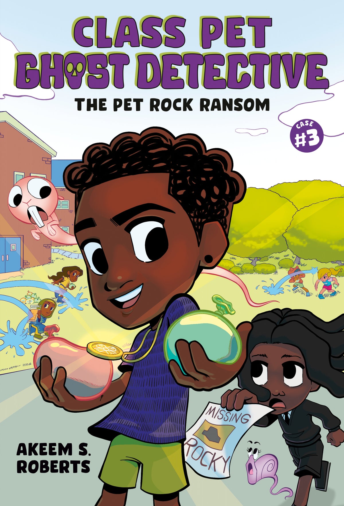 THE PET ROCK RANSOM: A GRAPHIC NOVEL (Hardcover)
