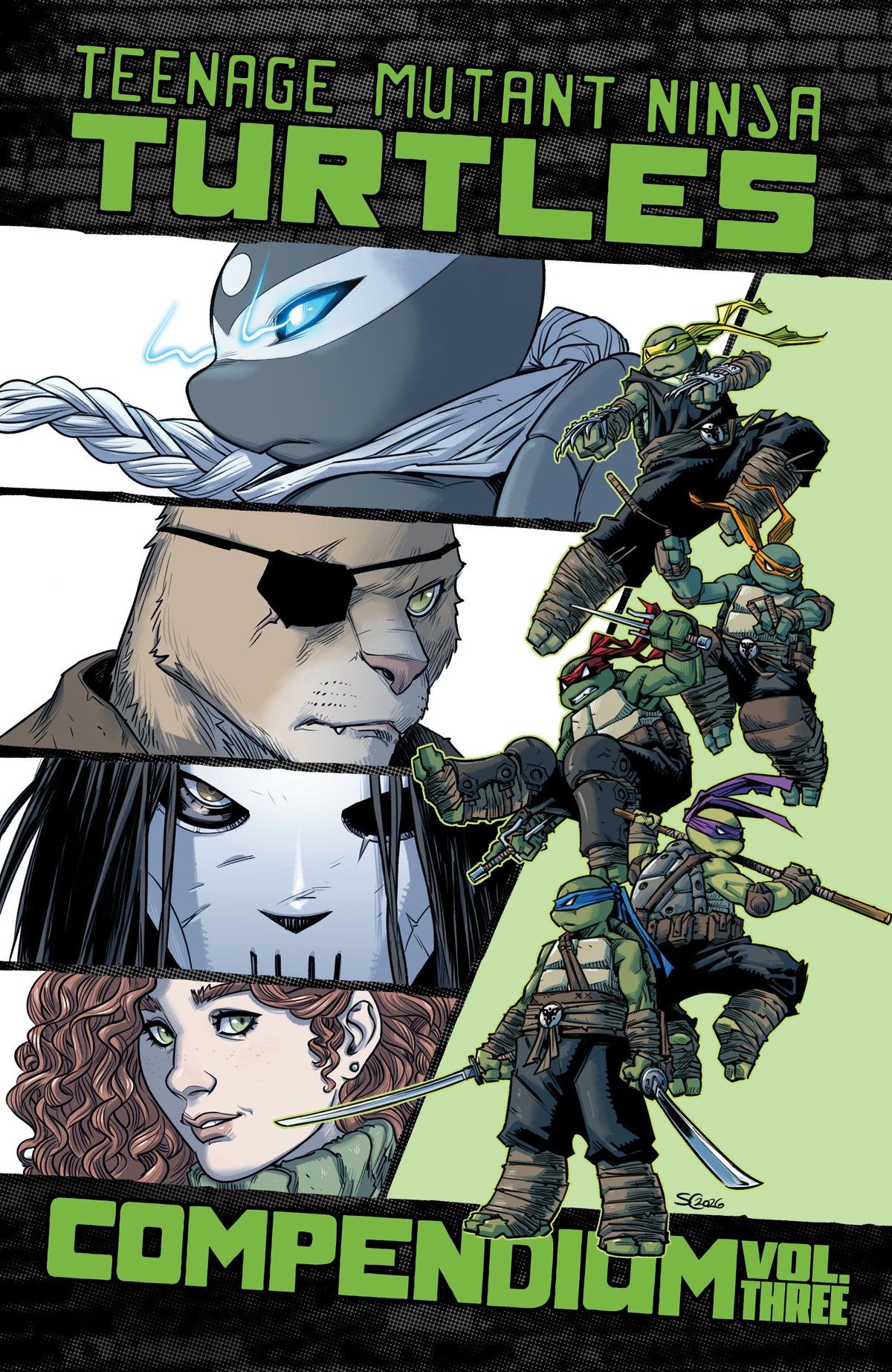 TEENAGE MUTANT NINJA TURTLES: ONGOING COMPENDIUM TP VOL. 3